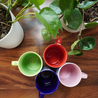 Plant Lover Mug Hand Lettered Mug with Colored Interior