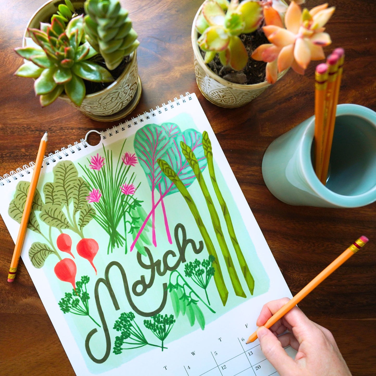 2026 Seasons Harvest Calendar | Fruits and Veggies of the Season